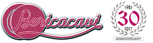 Berica Cavi spa